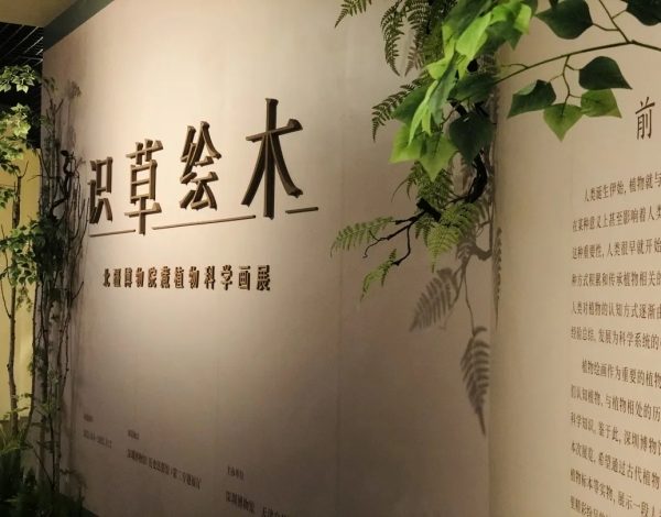 抓住暑假的尾巴，帶孩子感受博物館藝術(shù)的“光合作用”！