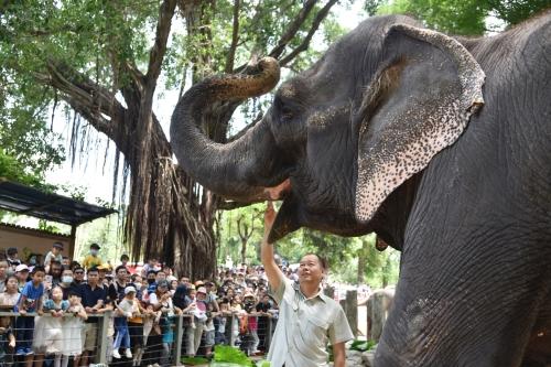 五一假期首日，深圳野生動物園動物科普講解吸引游客